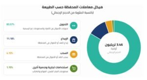 هيكل معاملات المحفظة حسب الطبيعة - تقرير البنك المركزي الموريتاني 2025