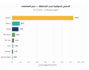 الحصص السوقية للمحافظ الرقمية في موريتانيا - تقرير البنك لمركزي الموريتاني 2025