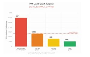 مؤشر تركز السوق الرقمي Hirschman Index - تقرير البنك المركزي الموريتاني 2025
